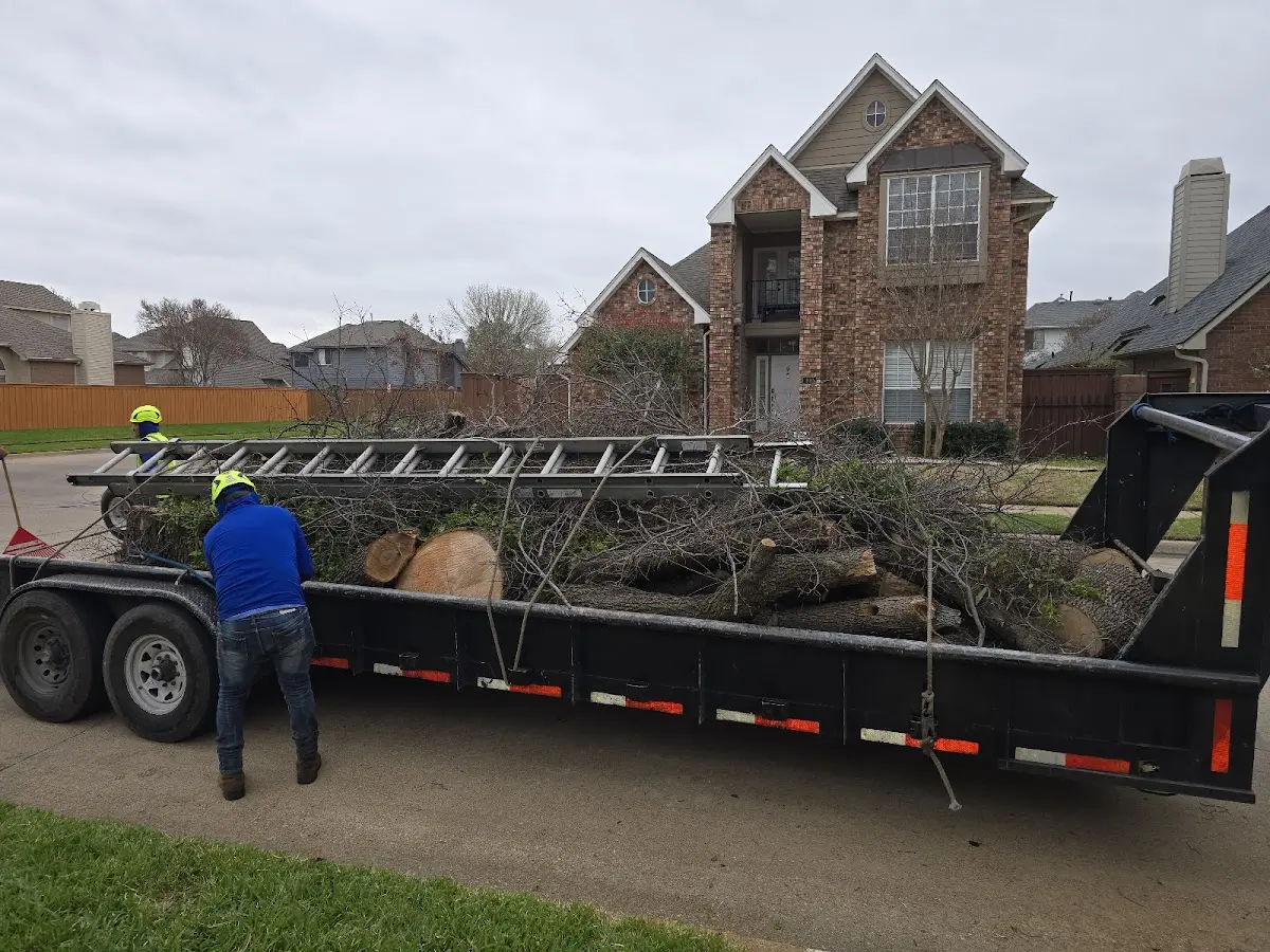 Expert Tree Fertilization with proper safety equipment in Canaan
